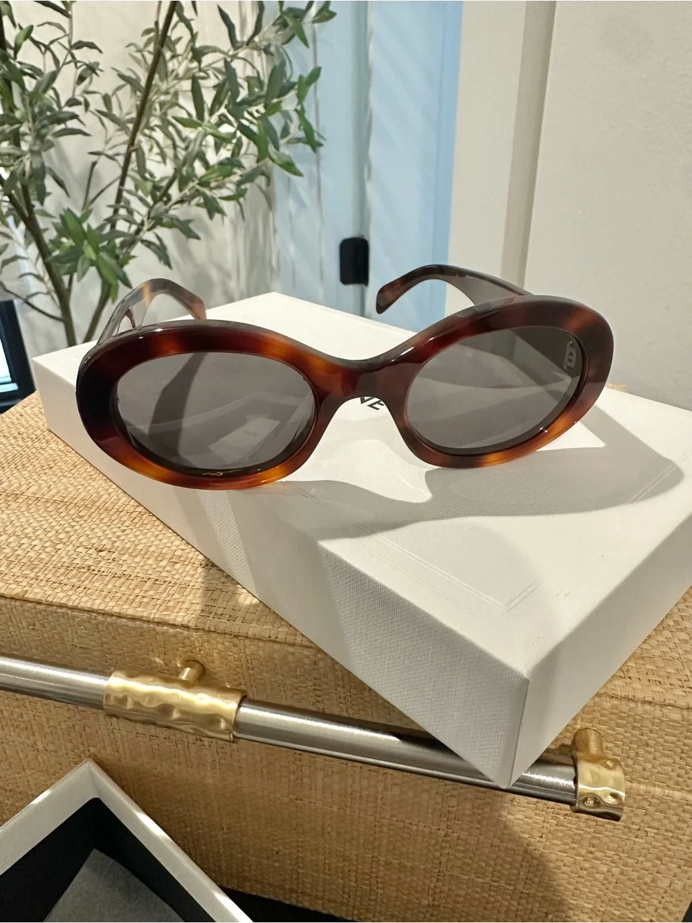 Celine triomphe 01